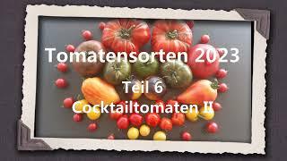 Tomatensorten 2023 Teil 6 - Cocktailtomaten II