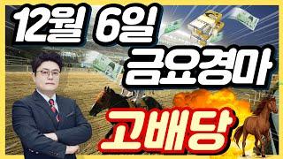 #12월6일. 금요경마 고배당 최강분석!!