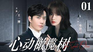 Sweet Romance 【The Sweet Olive】EP01 | Wang Yi Bo Chai Bi Yun