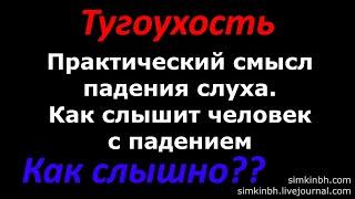 Как слышит человек с тугоухостью. Смысл падения слуха. Исправления слуха. Практика