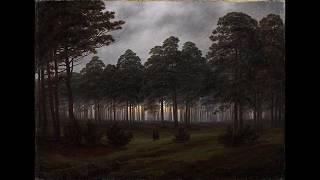 Schubert: Fantasia in F minor for four-hands piano. Staier, Melnikov