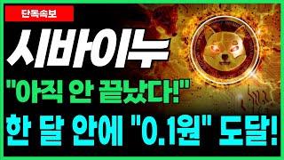 [시바이누 코인 전망] '비트코인'과 커플링 전략 성공! 아직 안 끝났다! 미친 상승 올 것! 한 달 안에 "0.1원" 돌파!?