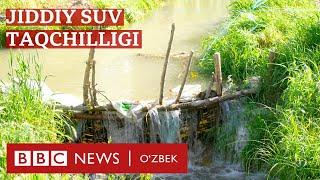 Ўзбекистон: Сув борасида келажак аянчли – давлат олимларга қулоқ солиши лозимми? - BBC News O'zbek