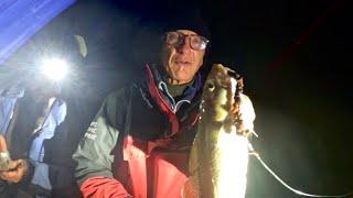 Chesil Wind=Codling and Bass. Sea Fishing Chesil Beach Past The Dragons Teeth.