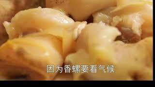 福州顶级饭店的一道招牌菜-----淡糟螺片