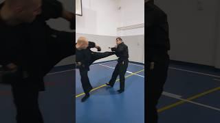 Punch & kick play #bujinkan #martialarts #ninja #ninjutsu #samoodbrana #selfdefense