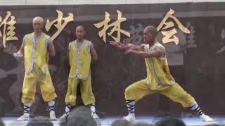 Shaolin KUNG FU 2017 - show style