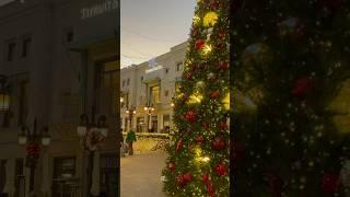 Rodeo Drive #christmas #vlogmas #vlogmas2024 #rodeodrive #shopping #bougie