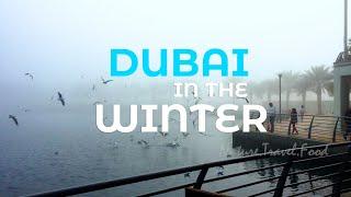 Dubai in the winter season | Dubai | JLT | Winter