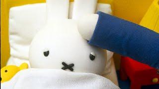 Miffy is poorly | Miffy and Friends | Classic Animated Show