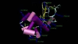 Alpha lactalbumin (TGM)