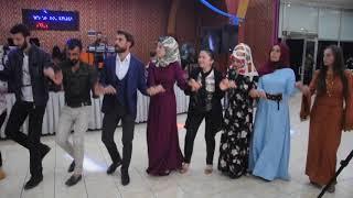 Ümit Sağlam & Seher Sarisaç Düğünü. Romani. 08.10.2017