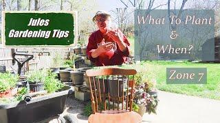 What To Plant In Spring Zone 7 -  Gardening For Beginners