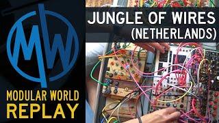 Jungle of Wires (Netherlands) on Modular World - 6-27-20