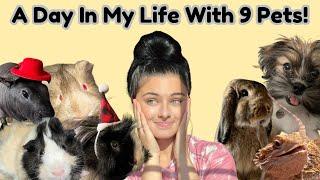 A Day In My Life With 9 Pets!