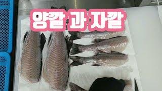 자연산 깔따구 양식 깔따구 탈피기