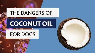 Coconut Oil For Dogs