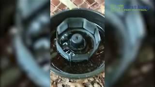 Mosquito Control - Rest Easy Pest Control | In2Care Mosquito Trap