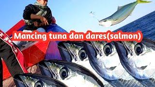 Nelayan tradisional‼️mancing  RUMPON tuna & salmon(dares) di laut - PRIGI Art