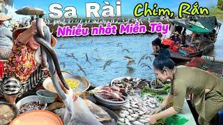 Chim Rắn nhiều nhất Miền Tây - Chợ biên giới Tân Hồng Sa Rài