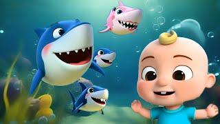 Baby Shark |Baby shark Song and dance |Nursery Rhymes & Kids song |Dance Party for Kids|