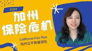 房屋保险被取消｜加州保险危机｜California Fair Plan #洛杉矶锦鲤姐