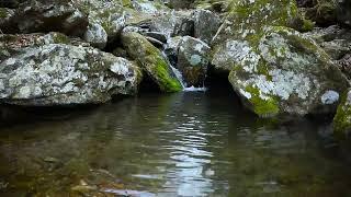 HD free video source   계곡 , 물소리 ,자연 , 힐링 , valley , water sound , nature , Healing ,