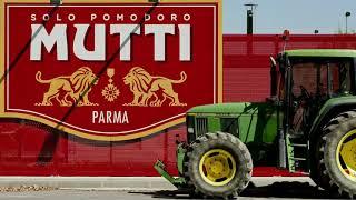 Mutti Pomodoro: Passion since 1899.