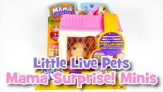 Little Live Pets Mama Surprise Minis Lil' Bunny | UNBOXING