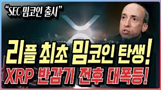 리플 최초의 밈코인 탄생! xrp 비트