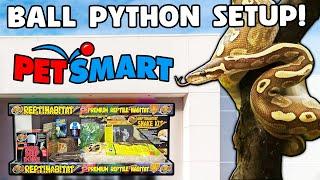 Ball Python Setup Guide for Beginners