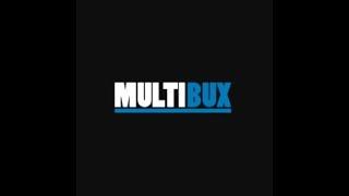 multibux.org Обзор проекта