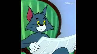 #tomandjerry #systemofadown #soad #psycho