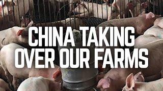 China Taking Over Our Farms