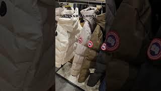 캐나다구스 매장 둘러보기  [대구여행] CANADA GOOSE 롯데백화점 대구점