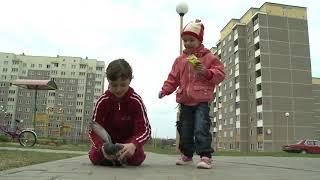 Девочка ловит голубя руками. Catch pigeon by hand