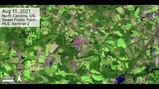 Observing Sweet Potato Harvest Season in North Carolina with Harmonized Landsat Sentinel-2 Data