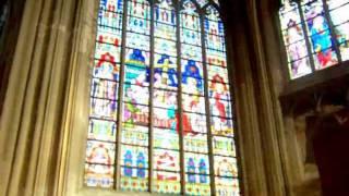 Bruges : Holy Savior Cathedral (4)