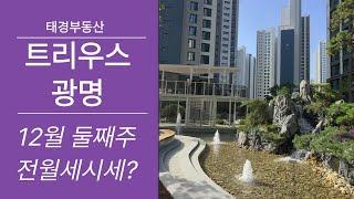 12월2주차브리핑) 트리우스광명 !전/월세 빠른상담하세요~ 빨리빼드릴게요! 적극조율 대표: 조미정 010-6588-0321