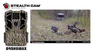 GSM Outdoors - NEW Stealth Cam G45NGMAX