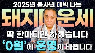 2025년 을사년 돼지띠 운세 / 복삼재에 운명이 바뀐다? 'O월' 부터 인생역전이다! 95년생 83년생 71년생 59년생 47년생 [성남점집 화성점집 일월성신] #돼지띠 #운세