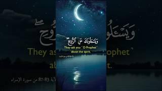 قرآن كريم  | فارس عباد