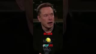 Elon EATS Crocodile vs Alligator XD
