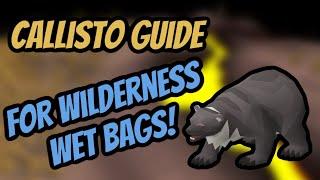 Callisto For Wilderness Wetbags - The Best Guide | OSRS
