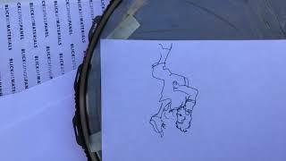 Blind Contour animation