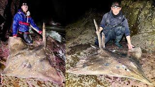 Shore Fishing for Giant Common 'Flapper' Skate in Scotland - Sea Fishing UK | The Fish Locker