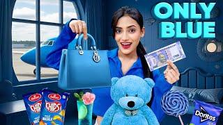 BLUE Color Challenge || Eating & Buying Everything in ONE COLOR CHALLENGE 🩵 | SAMREEN ALI