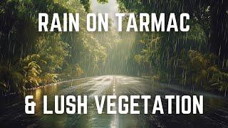 SMOOTH BROWN NOISE WITH RAIN ON TARMAC & LUSH VEGETATION | Black Screen | 12 Hours | Sleep/ Relax