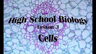 Biology 1 Lesson 3 Cells