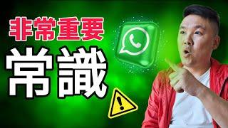 「whatsapp 教學」：有一個好重要設定一定要去開，必須要睇！